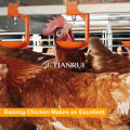 Sistema de toma de ave automática Tianrui para pollos